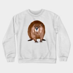 Cute Beaver Drawing Crewneck Sweatshirt
